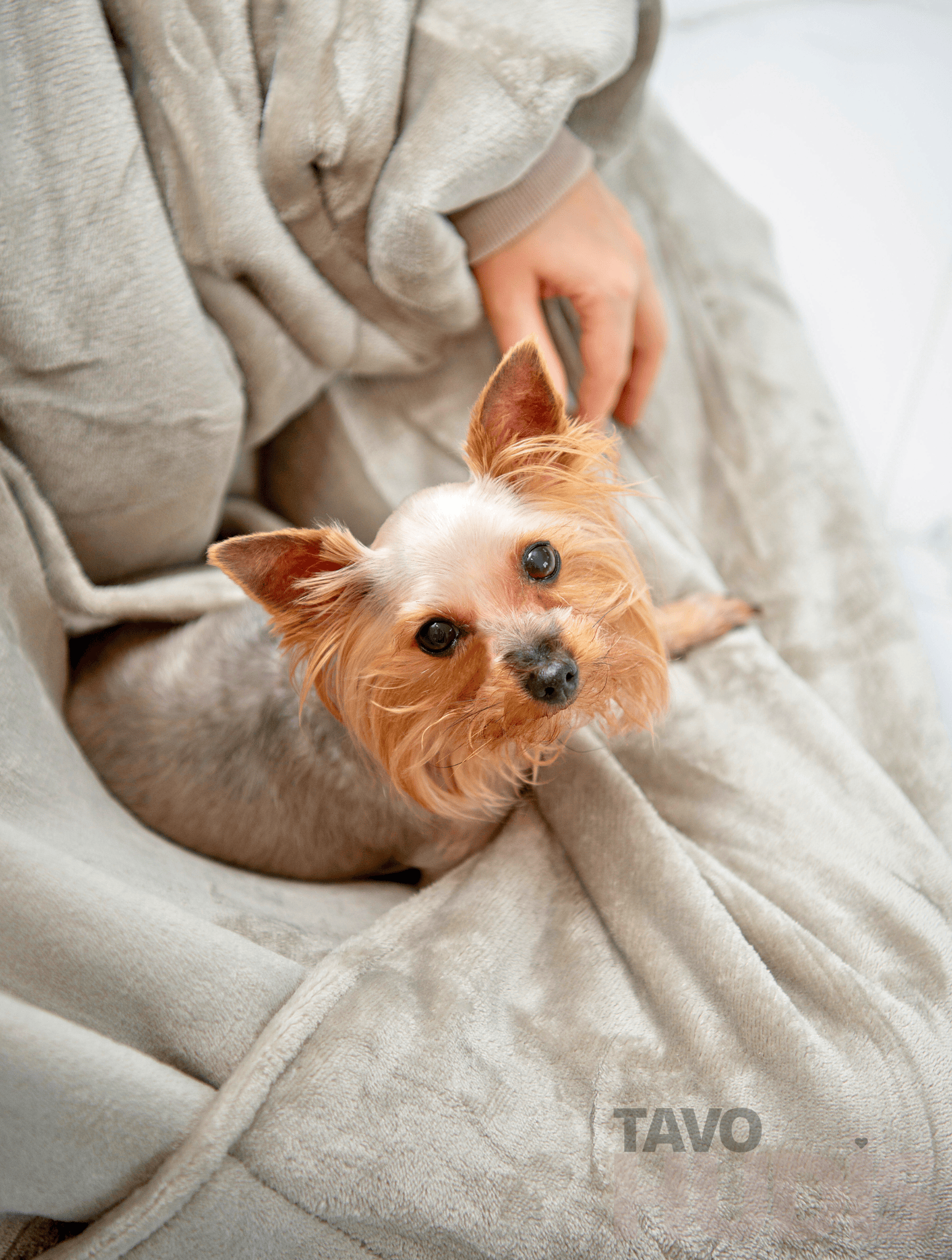 Khaki Kangaroo Blanket Hoodie
